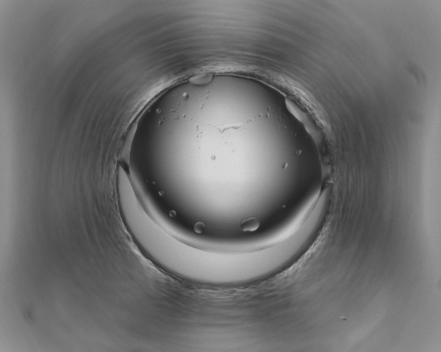 X0000111791185200908061130