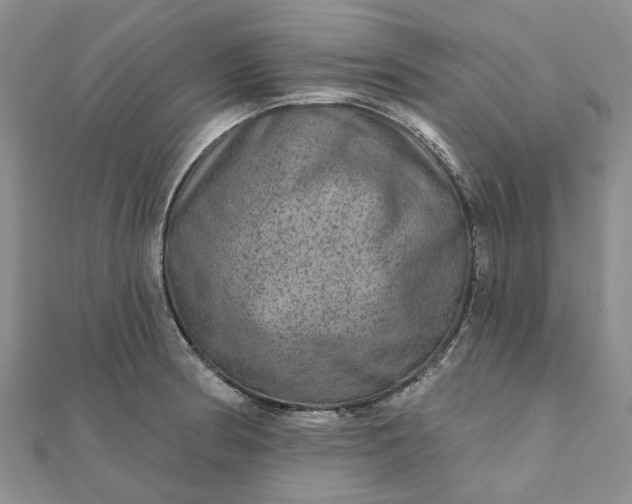 X0000111791186200908061130