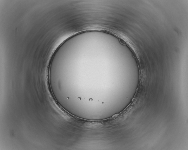 X0000111791187200908061130