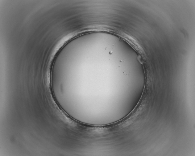 X0000111791188200908061130