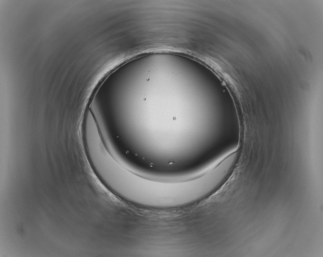 X0000111791189200908061130