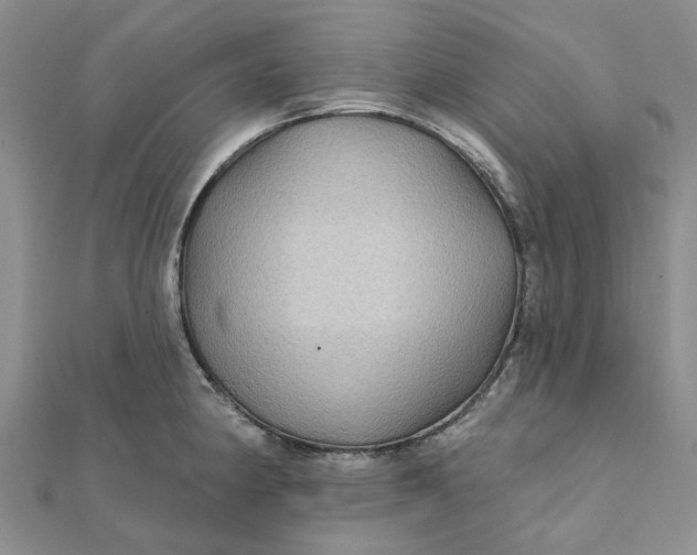 X0000111791190200908061130