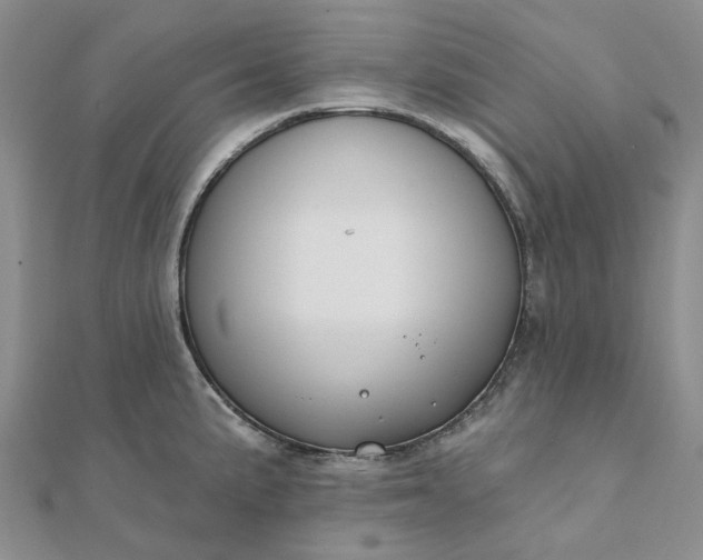 X0000111791191200908061130