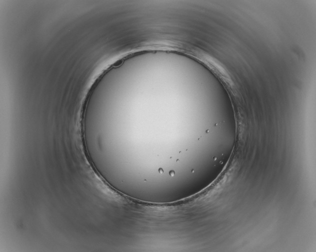 X0000111791192200908061130