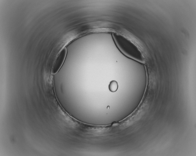 X0000111791193200908061130