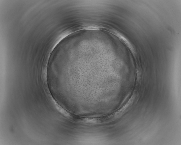 X0000111791194200908061130