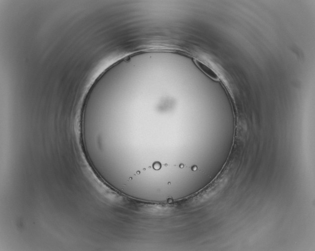 X0000111791195200908061130