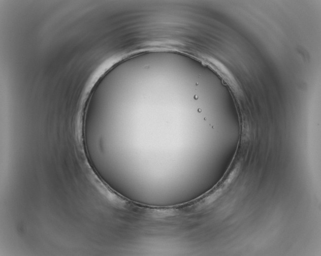 X0000111791196200908061130