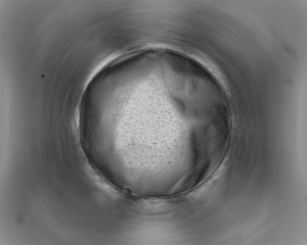 X0000111791198200908061130