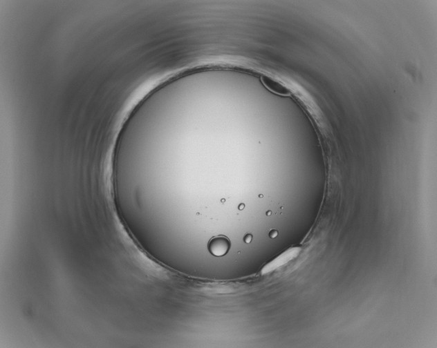 X0000111791199200908061130