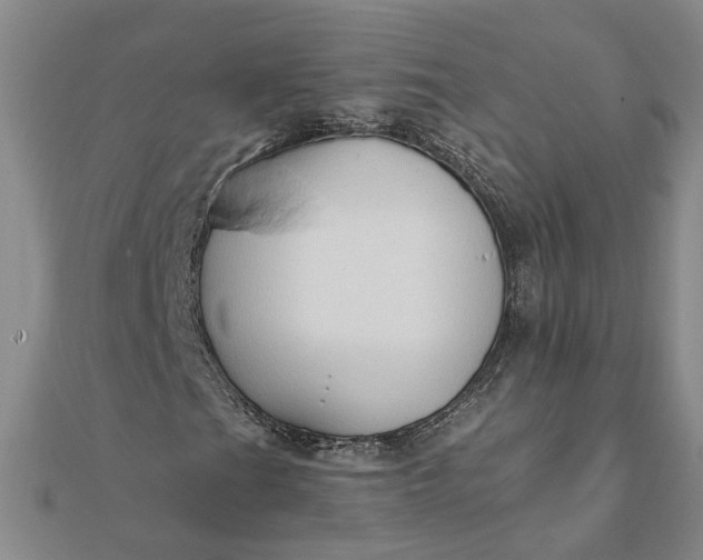 X0000111791201200908061129