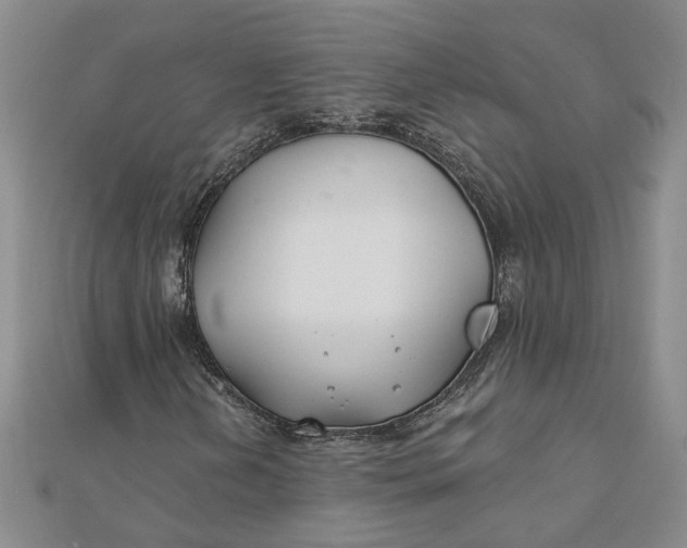 X0000111791202200908061129