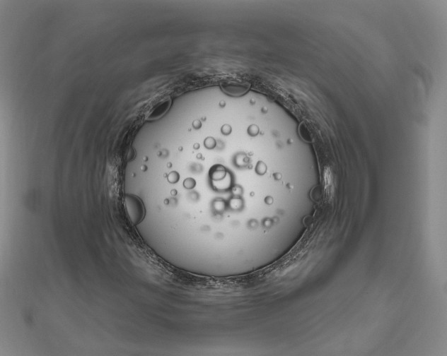 X0000111791203200908061129