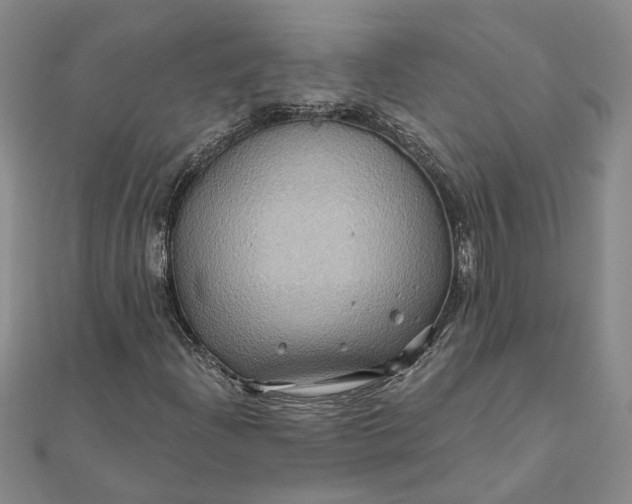 X0000111791204200908061129