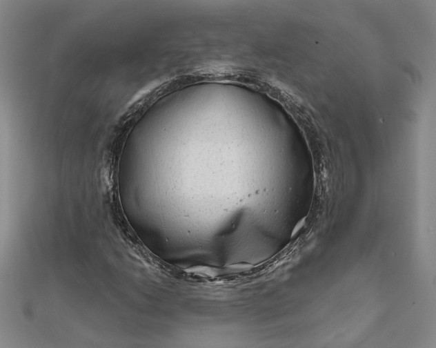 X0000111791206200908061129