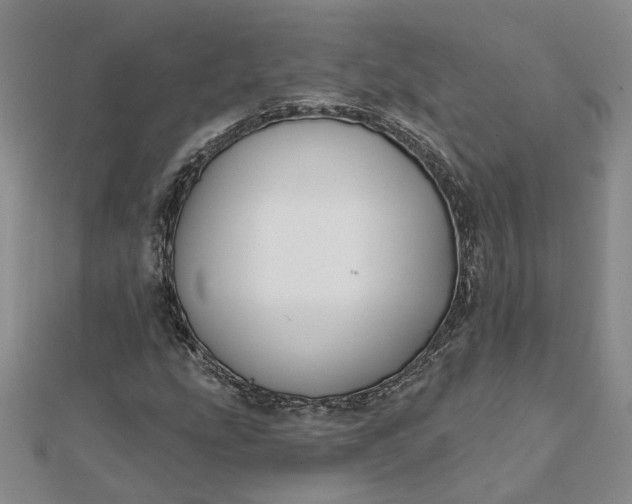 X0000111791207200908061129