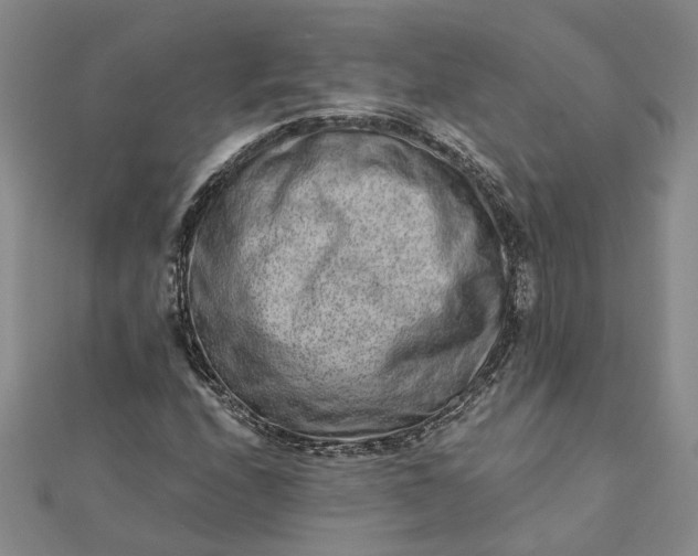 X0000111791208200908061129