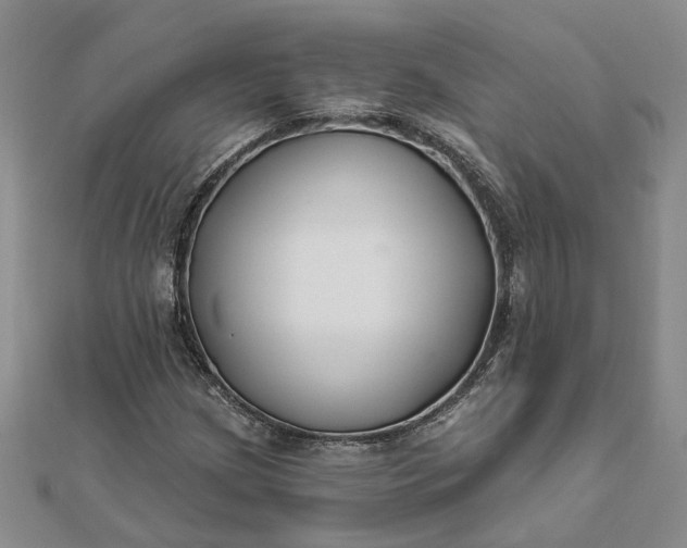 X0000111791209200908061129