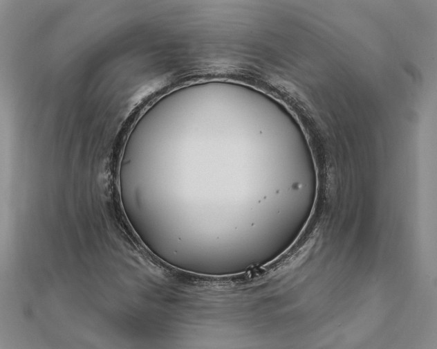 X0000111791210200908061129