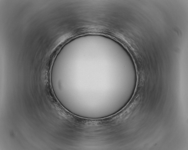 X0000111791211200908061129