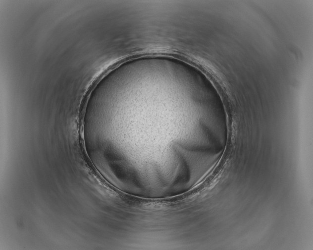 X0000111791212200908061129