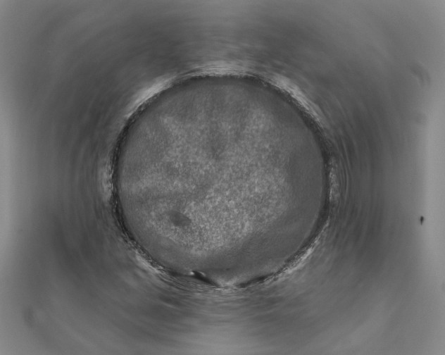 X0000111791213200908061129