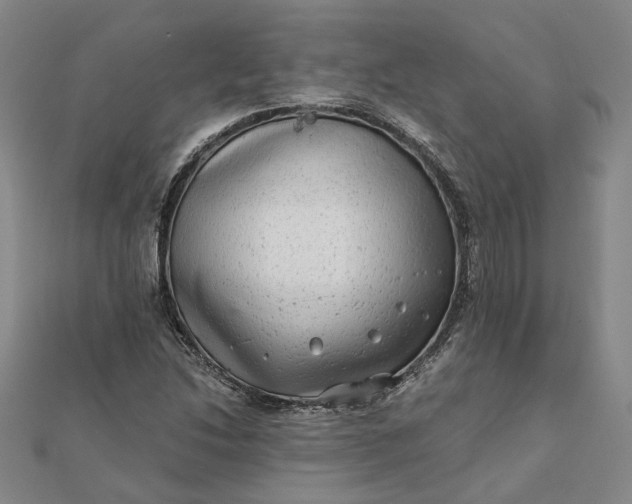 X0000111791214200908061129