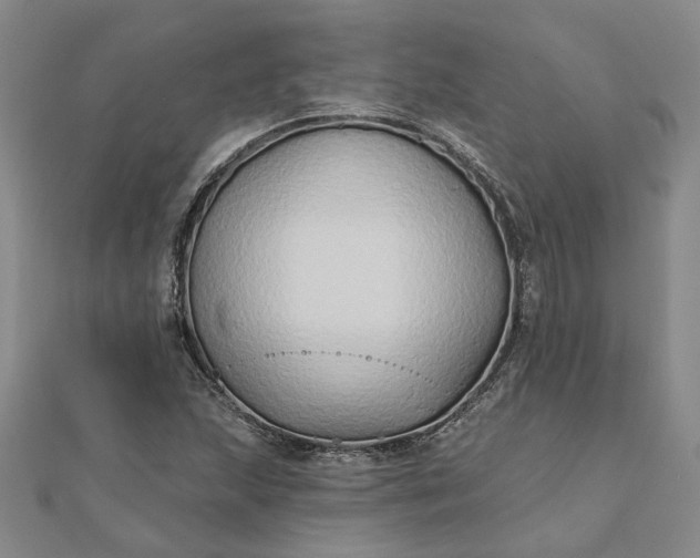 X0000111791215200908061129