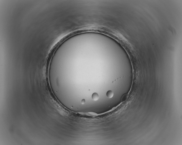 X0000111791216200908061129