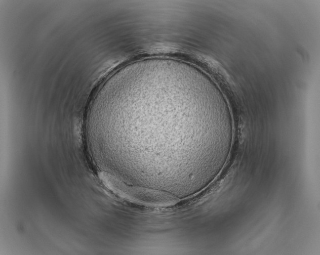 X0000111791217200908061129