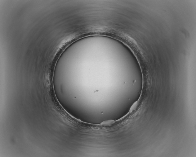 X0000111791218200908061129