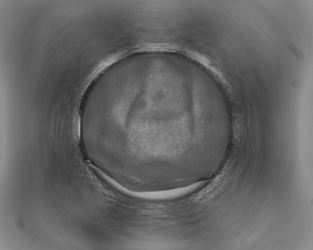 X0000111791221200908061129