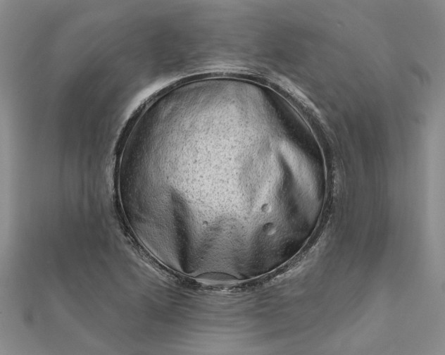 X0000111791222200908061130