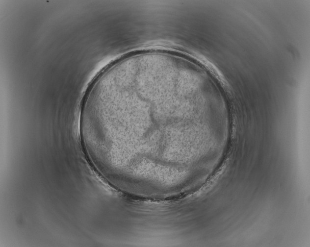 X0000111791224200908061130