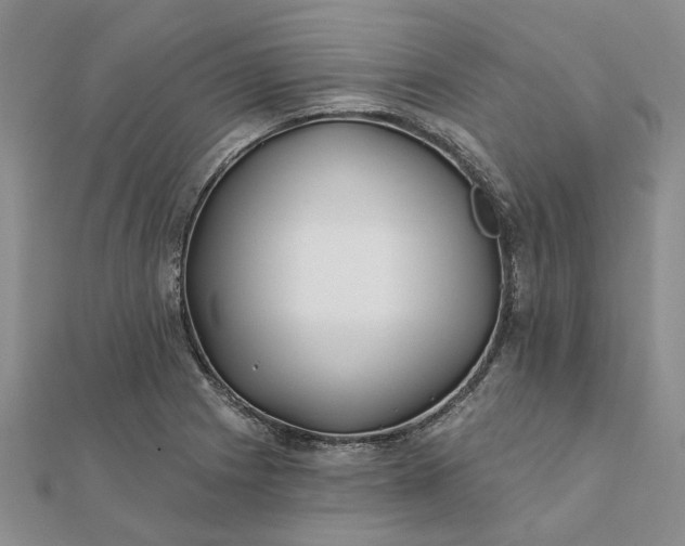 X0000111791225200908061130