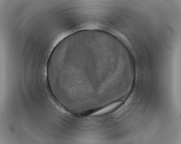 X0000111791226200908061130