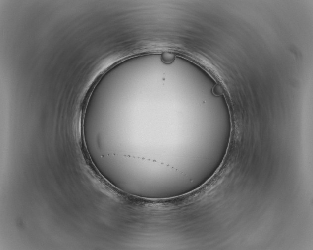 X0000111791227200908061130