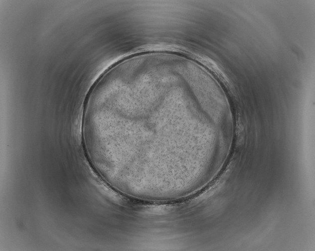 X0000111791228200908061130