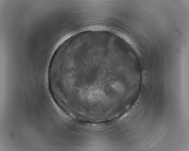 X0000111791229200908061130