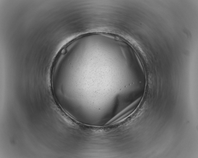 X0000111791230200908061130