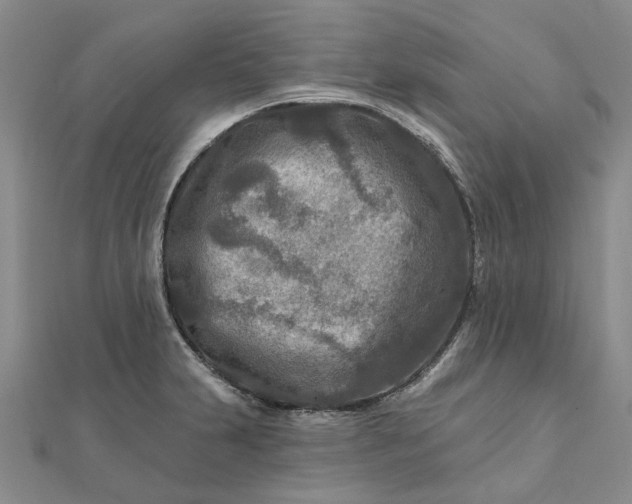 X0000111791231200908061130