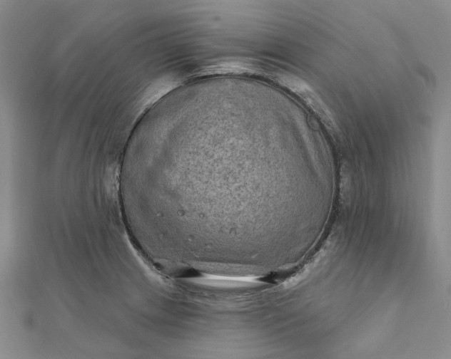 X0000111791233200908061130