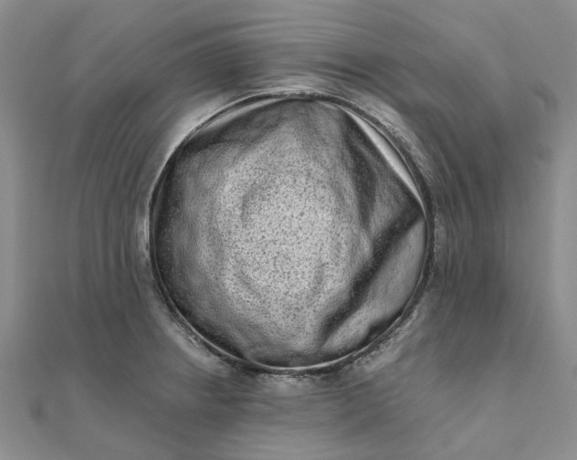 X0000111791234200908061130