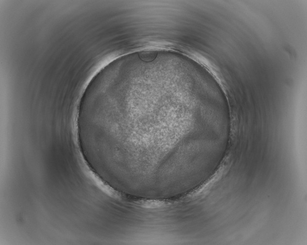 X0000111791235200908061130