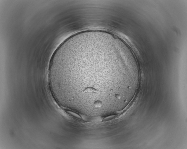 X0000111791236200908061130