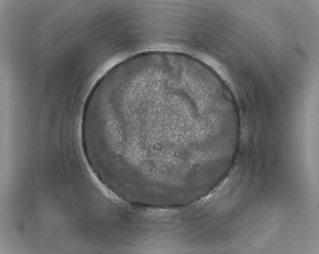 X0000111791237200908061130