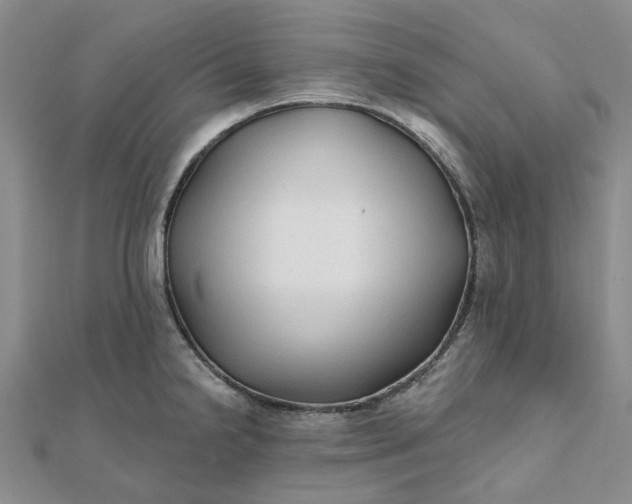 X0000111791238200908061130