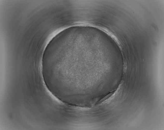 X0000111791239200908061130