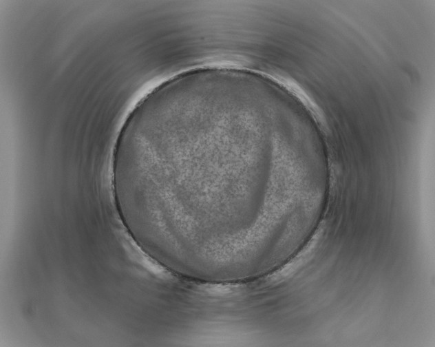 X0000111791240200908061130