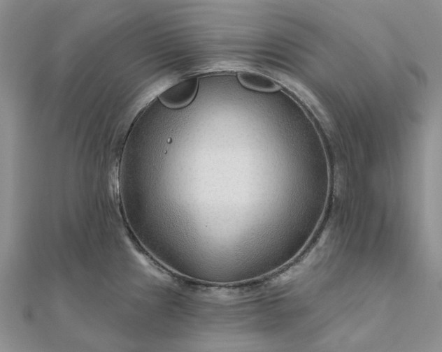 X0000111791241200908061130